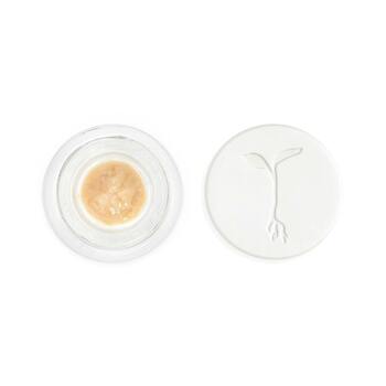 Pink Drink Live Rosin